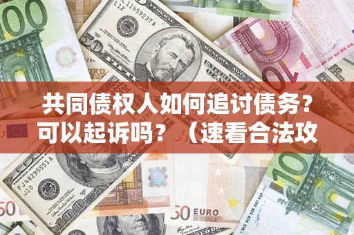 北京共同债权人如何追讨债务？可以起诉吗？（速看合法攻略）