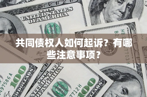 北京共同债权人如何起诉？有哪些注意事项？